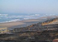 Photo de la plage de Lacanau